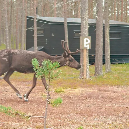Lapland Riverside 7 Puolukka, Yllaes, Tiny With Sauna, Fireplace, Terrace, Bbq, Wifi, Ski, Fishing, Pets Ok Шале