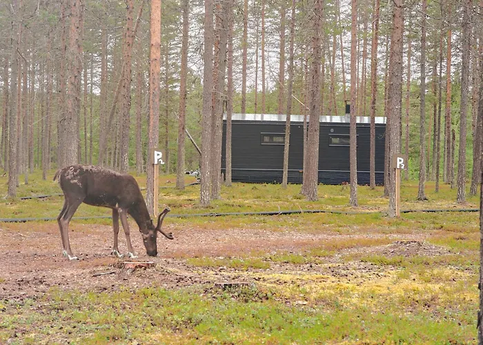 شاليه Lapland Riverside 7 Puolukka, Yllaes, Tiny With Sauna, Fireplace, Terrace, Bbq, Wifi, Ski, Fishing, Pets Ok Äkäslompolo