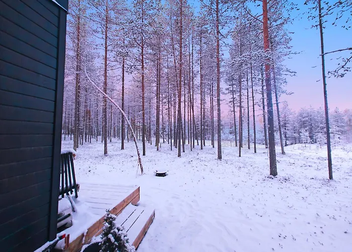 شاليه Lapland Riverside 7 Puolukka, Yllaes, Tiny With Sauna, Fireplace, Terrace, Bbq, Wifi, Ski, Fishing, Pets Ok Äkäslompolo